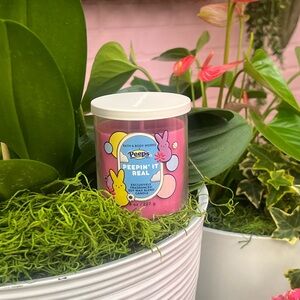 Bath & Body Works Peepin' It Real Signature Single Wick Candle